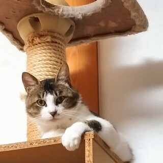 食欲旺盛　まーちゃん