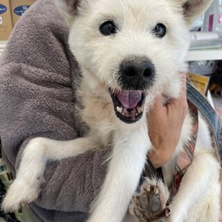 笑顔が素敵な　ルナちゃん