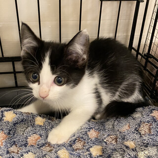 なれなれ♡まるこ♀2か月くらい