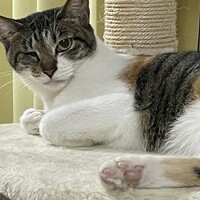 もみじ