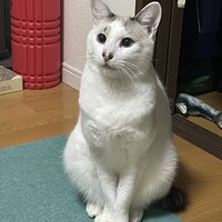 もなか