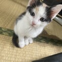 9月に産まれました！
