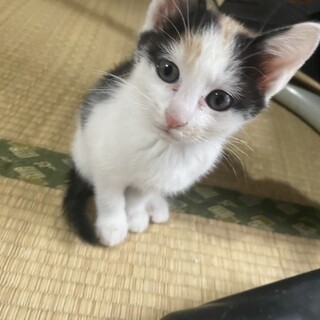 9月に産まれました！