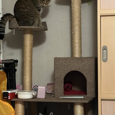 の写真