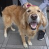 かものはし。