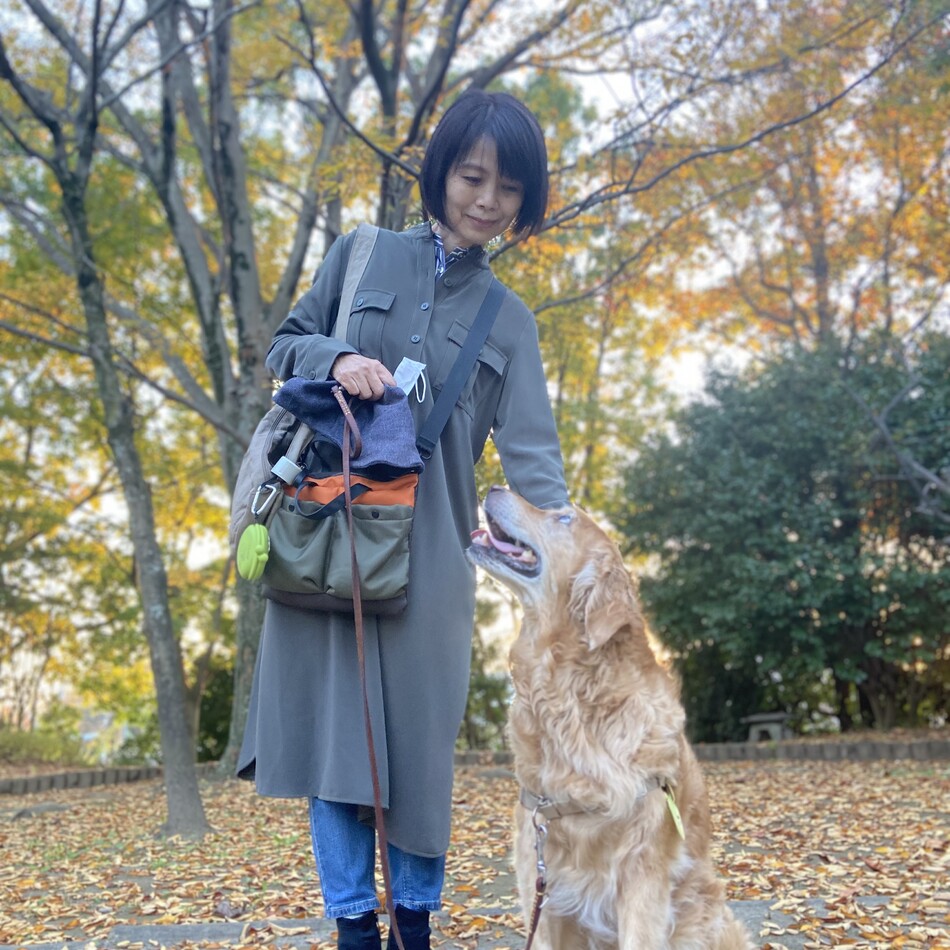 メープルのカバー写真