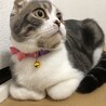 生後6ヶ月