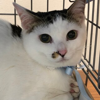 人懐っこい姉妹♡さつきちゃん