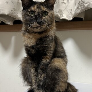 小柄でパッチリお目目♡ユリアちゃん
