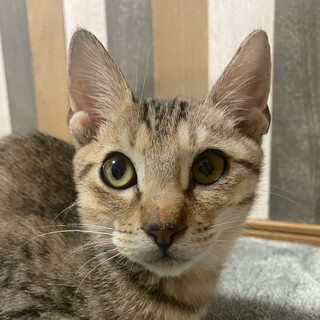 元気いっぱいヤンチャなしゅん❤️