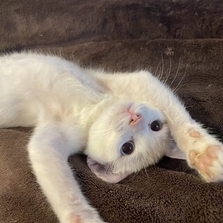 腕枕でねます♪イケメンで甘えん坊＾＾