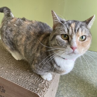 おもちゃ遊びが大好きな女の子♡