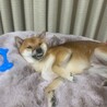 気持ちええわぁ。