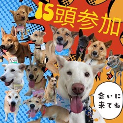 里親会パーティーＩＮつくばCASA サムネイル2