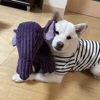 はる