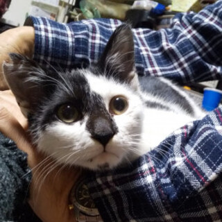 凄い甘えん坊♡白黒君