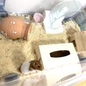 ゴールデンハムスター里親募集！ サムネイル4