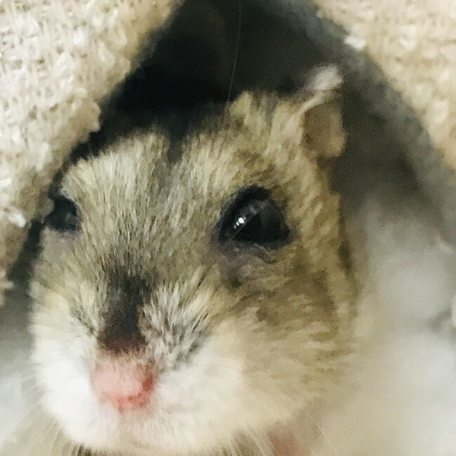 まるさぶのカバー写真