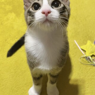 【別の場所でご縁をいただきました】ボクずんだです