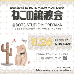 11月26日（土）猫の譲渡会@名古屋市守山区