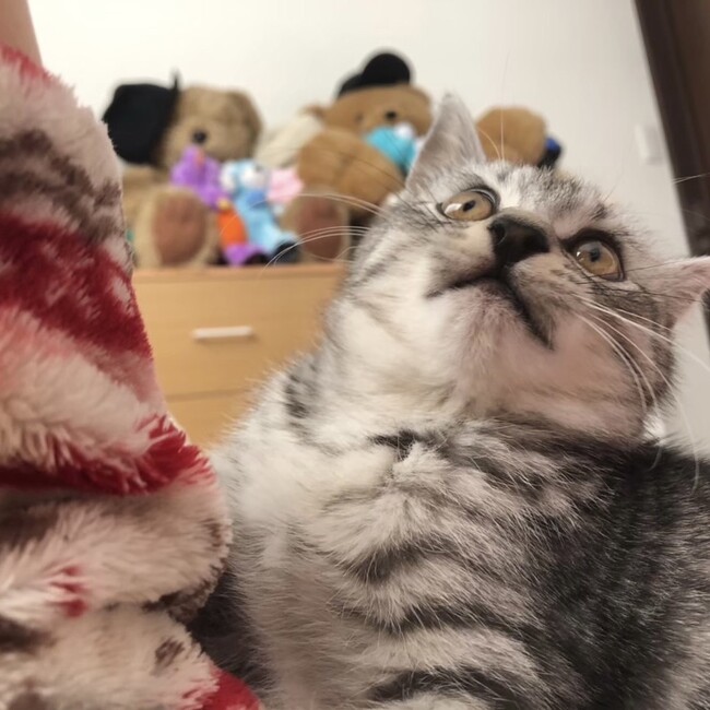 *ami*のカバー写真