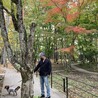 お散歩大好き