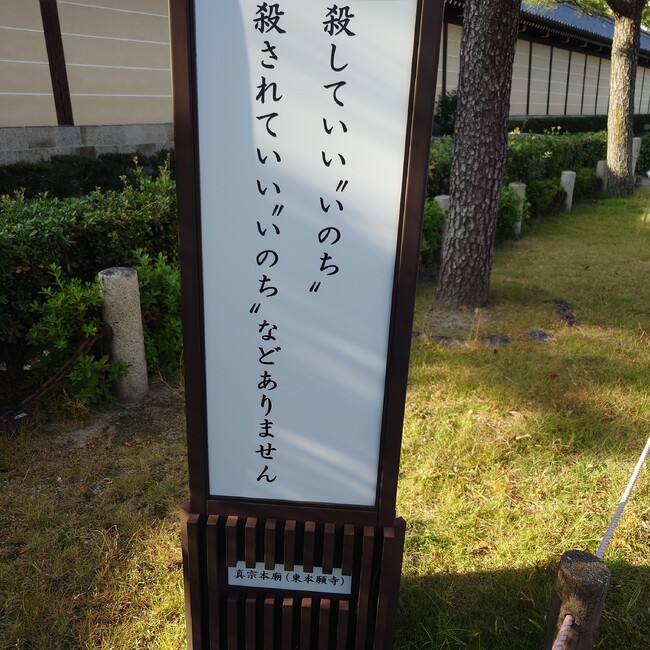 茶々之助のカバー写真