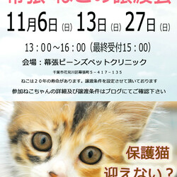 千葉市「 幕張 ねこの譲渡会」動物病院で開催です