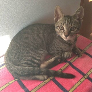 美男子　ひがし君♪