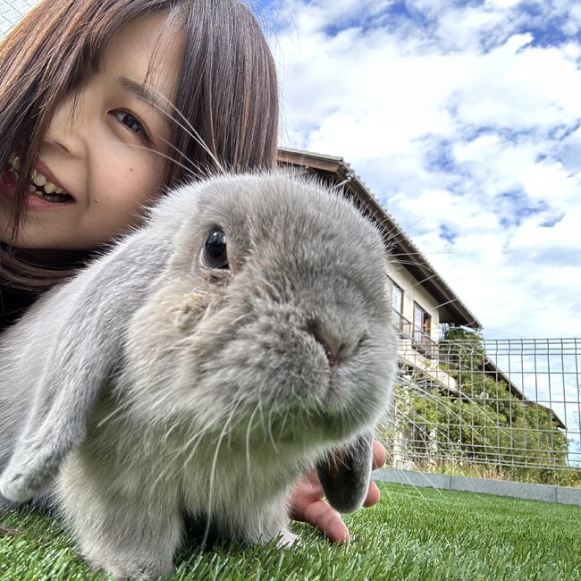 こわぐちのカバー写真