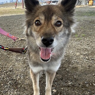 人と一緒が大好き、元気で明るい女の子ちゃこ