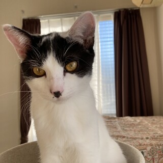 可愛くて、性格も抜群！