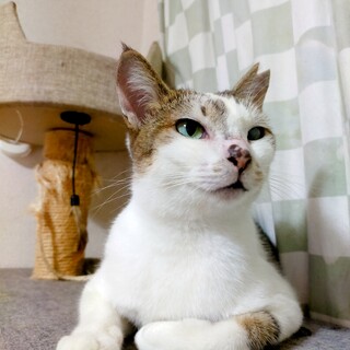 人が大好きゆうちゃん❤