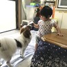 よこい
