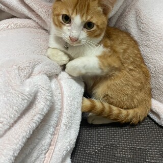 ずっとのお家が見つかりました‼︎