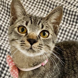 抱っこするととろける液体?の麦ちゃん????