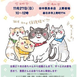 保護猫の譲渡会in春日井