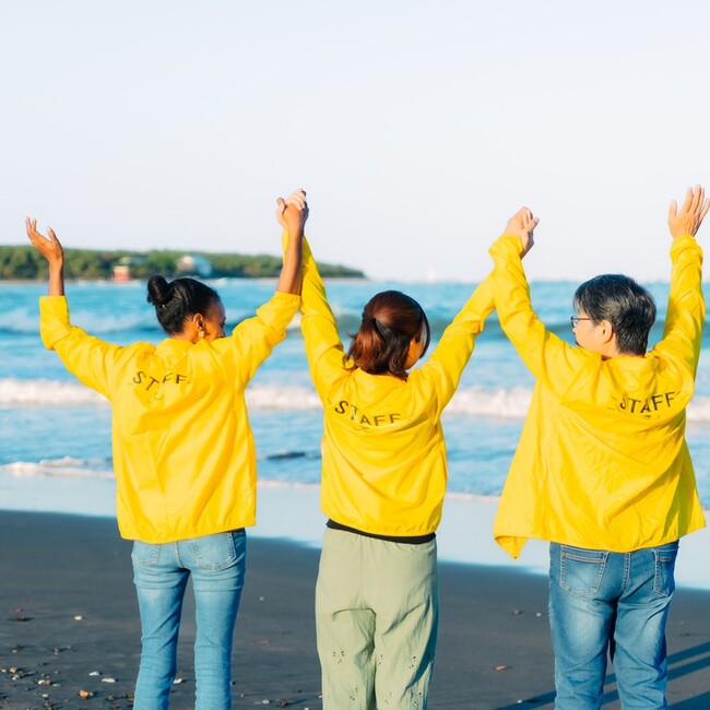 にゃんこの手のカバー写真