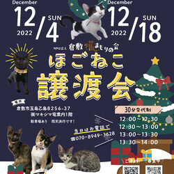 ほごっこ子猫の譲渡会（予約制）