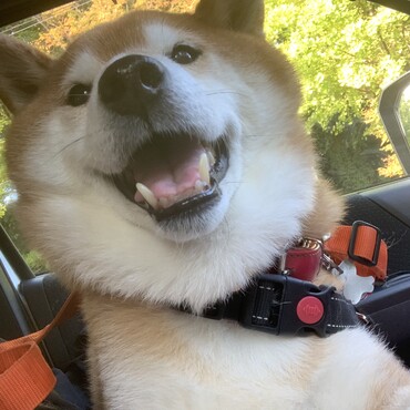 の写真