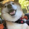 の写真