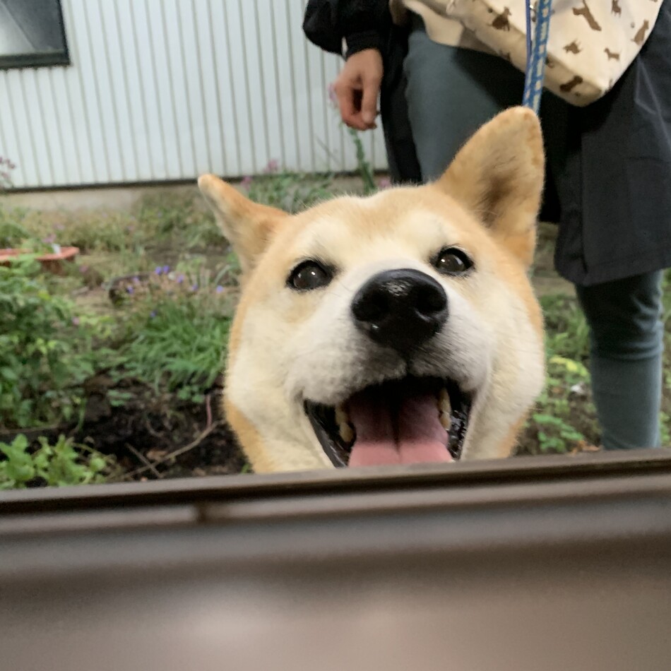増田ふくのカバー写真