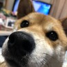 体重増加中☺️