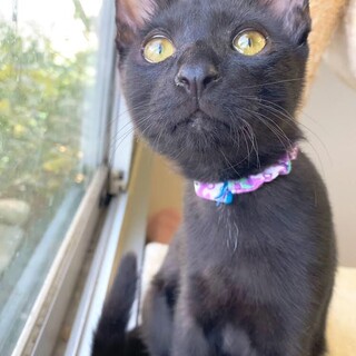 「面談予定」一生懸命な「テンシン」くん❤