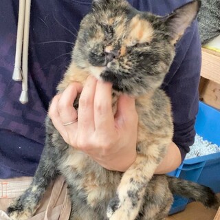 ビビり「ほのか」ちゃん❤