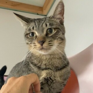 陽気な「ルーロー」くん❤