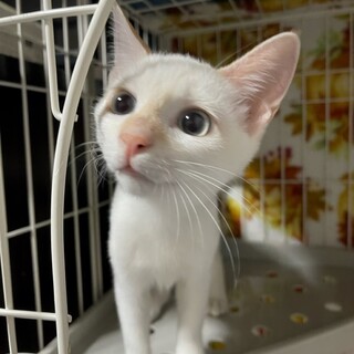 お陰様で素敵な家族が見つかりました。