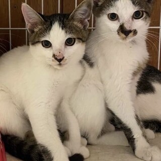 仲良しお母さん大好き兄弟(^○^)