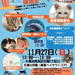 ねこの譲渡会＆命の授業 サムネイル1