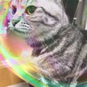 の写真